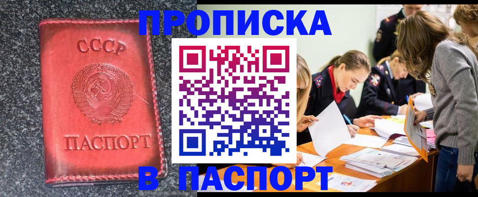 прописка для школы в Камчатской области